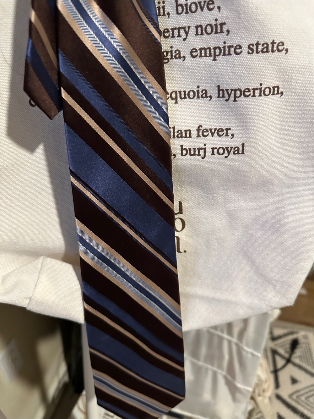 Michael Kors Blue and Brown Diagonal Stripe Tie